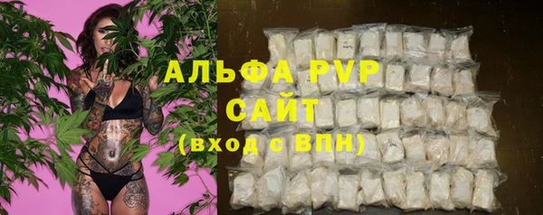 СК Абаза