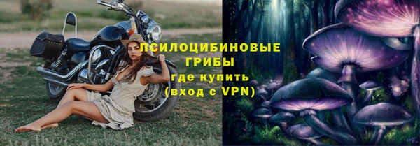 сатива Алексин