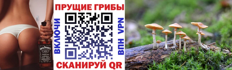 сколько стоит  Мантурово  блэк спрут как зайти  Псилоцибиновые грибы мухоморы 